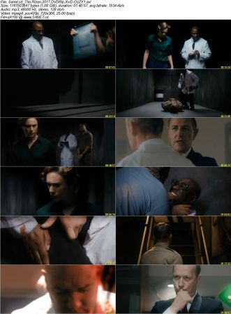 The Rizen 2017 DVDRip XviD-OzZY1
