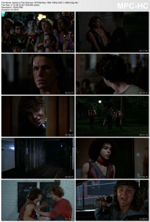 The Warriors 1979 BluRay 10Bit 1080p DD5.1 H265-d3g