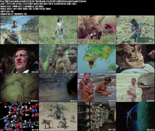 BBC - Life on Earth 1979 720p BluRay x264 DTS-WiKi