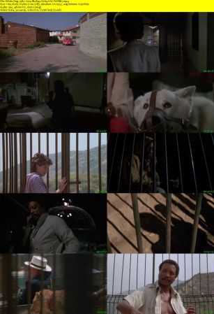 White Dog 1982 720p BluRay H264 AAC-RARBG