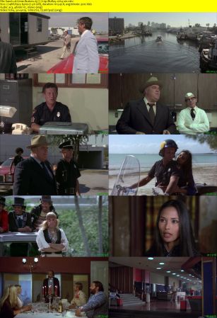 Crime Busters 1977 720p BluRay x264-x0r