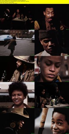Black Roots 1970 720p BluRay x264-SADPANDA
