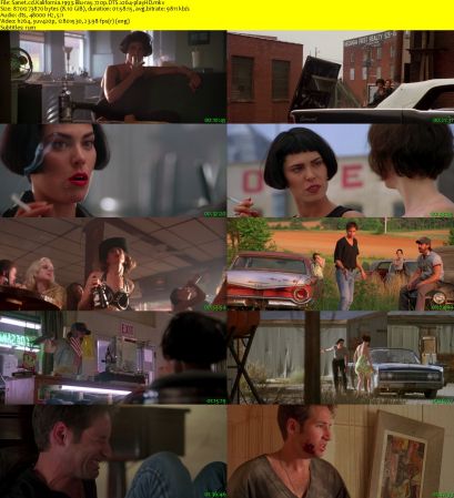 Kalifornia 1993 BluRay 720p DTS x264-playHD