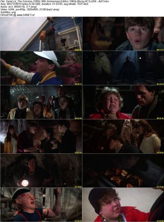 The Goonies 1985 30th Anniversary Edition 1080p Bluray AC3 x264 AdiT