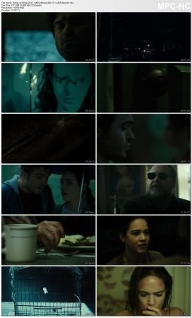 Rings 2017 1080p Bluray AAC 5.1 x265-Absinth