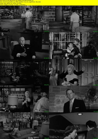 The Big Knife 1955 BRRip XviD MP3-RARBG