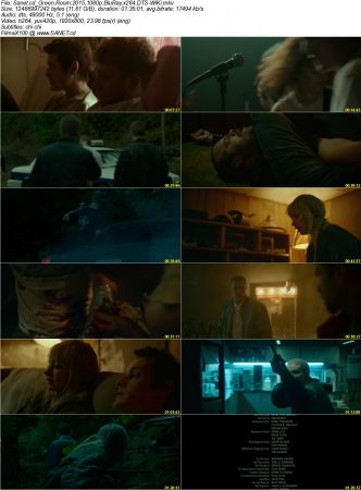 Green Room 2015 1080p BluRay x264 DTS-WiKi