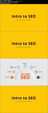 Beginner's Guide to WordPress SEO: Lightning speed