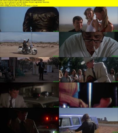 Electra Glide in Blue 1973 BRRip XviD MP3-RARBG