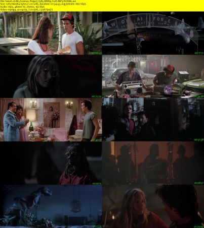 My Science Project 1985 BRRip XviD MP3-RARBG