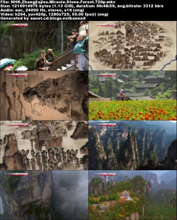 NHK - Zhangjiajie's Miracle Stone Forest (2017) 720p HDTv x264-MVGroup