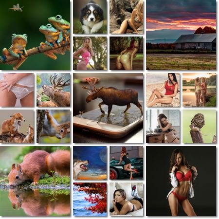 Best Beautiful Wallpapers Pack 979