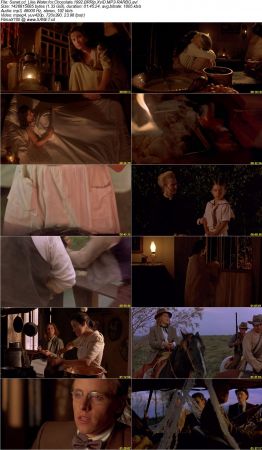 Like Water for Chocolate 1992 BRRip XviD MP3-RARBG