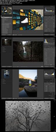Adobe Lightroom: Developing Your Editing Style