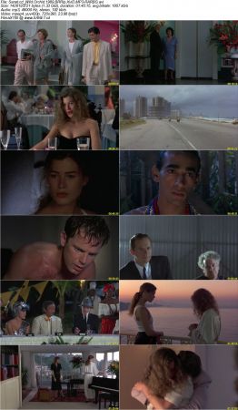 Wild Orchid 1989 BRRip XviD MP3-RARBG