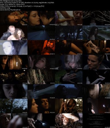 Malgré la nuit / Despite the Night (2015) DVDRip