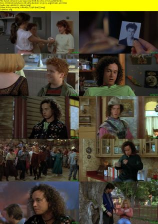 Son-in-Law 1993 720p WEB-DL AAC2.0 H264-alfaHD