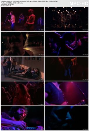The Grateful Dead 1977 BluRay 10Bit 1080p Dts-HD Ma5.1 H265-d3g