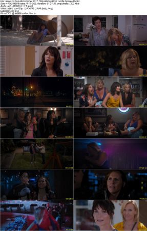 Fun Mom Dinner 2017 720p BluRay DD5.1 x264-SpaceHD