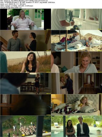 The Wilde Wedding 2017 HDRip XviD AC3-EVO