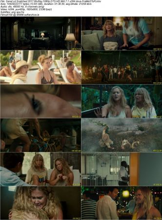 Snatched 2017 BluRay 1080p DTS-HD MA 7.1 x264 dxva-FraMeSToR