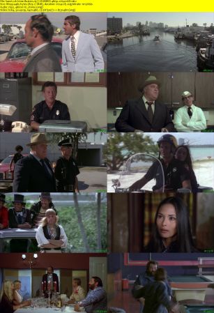 Crime Busters 1977 DUBBED 480p x264-mSD