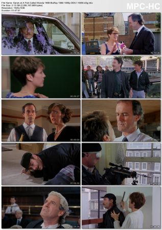 A Fish Called Wanda 1988 BluRay 10Bit 1080p DD5.1 H265-d3g