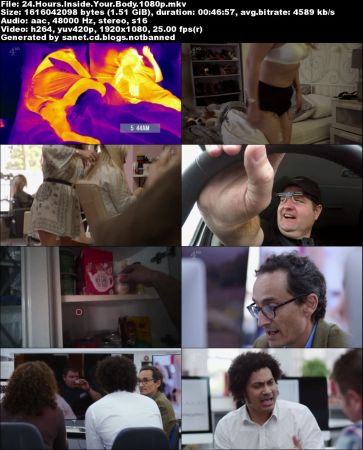 24 Hours Inside Your Body (2017) 1080p HDTV x264-PLUTONiUM