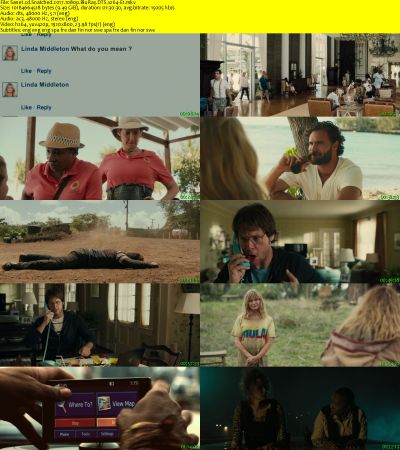 Snatched 2017 1080p BluRay DTS x264-E1
