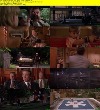 The Client 1994 BRRip XviD MP3-RARBG