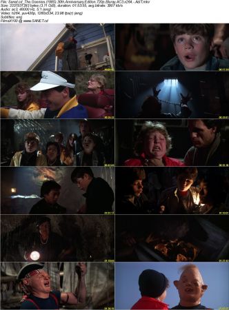 The Goonies 1985 30th Anniversary Edition 720p Bluray AC3 x264 AdiT