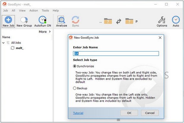 GoodSync Enterprise 10.6.3.3 Multilingual Portable