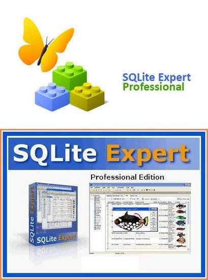 SQLite Expert Professional 5.4.62.606 instal the new version for ios