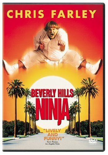 Beverly Hills Ninja 1997 WEBRip x264-RARBG