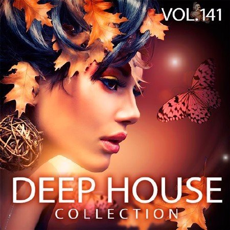 Deep House Collection Vol.141 (2017)