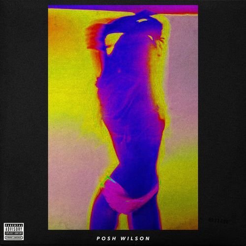 Posh Wilson - Histoires De Filles (2017)