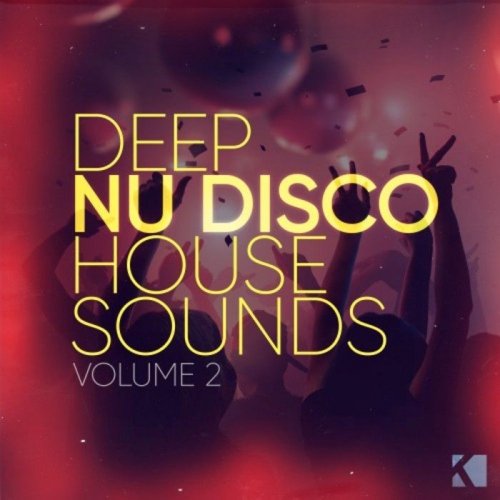 VA - Deep Nu Disco House Sounds Vol 2 (2017)