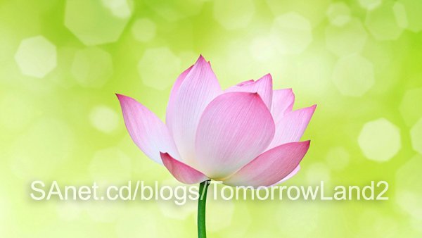 Meditation For Beginners: For Deep Daily Practice