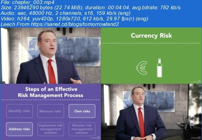 Finance Foundations: Risk Management