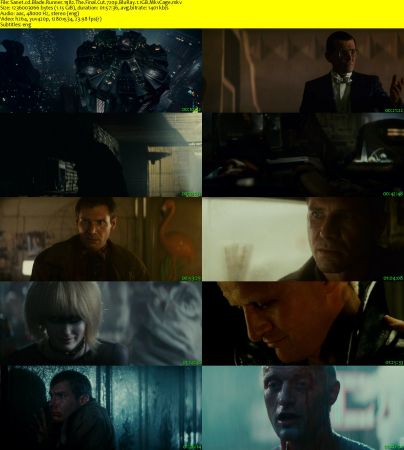 Blade Runner 1982 The Final Cut 720p BluRay 1.1GB MkvCage