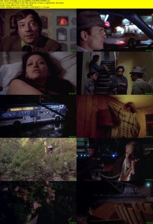 Badge 373 1973 BRRip XviD MP3-RARBG