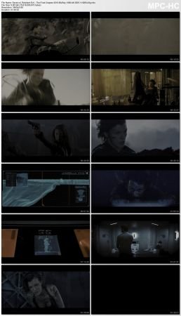 Resident Evil The Final Chapter 2016 BluRay 10Bit 4K DD5.1 H265-d3g