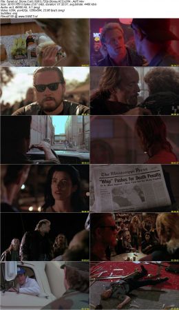 Stone Cold 1991 720p Bluray AC3 x264 AdiT