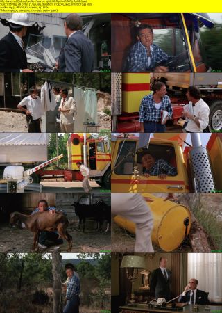 Didi auf vollen Touren 1986 BRRip XviD MP3-RARBG