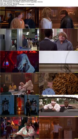 Beverly Hills Ninja 1997 WEBRip x264-RARBG