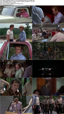 Walking Tall Part 1 1973 720p BluRay H264 AAC-RARBG
