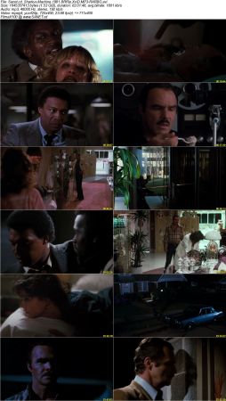 Sharkys Machine 1981 BRRip XviD MP3-RARBG