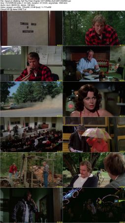 Walking Tall The Final Chapter 1977 BRRip XviD MP3-RARBG