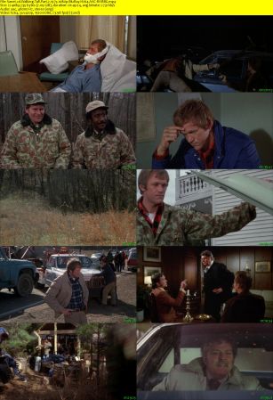 Walking Tall Part 2 1975 1080p BluRay H264 AAC-RARBG