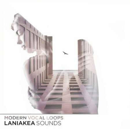 Laniakea Sounds Modern Vocal Loops WAV